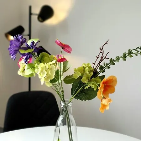 Chalet-uni- Boxspringbett Kueche-ruhig-parkplatz 아파트 *